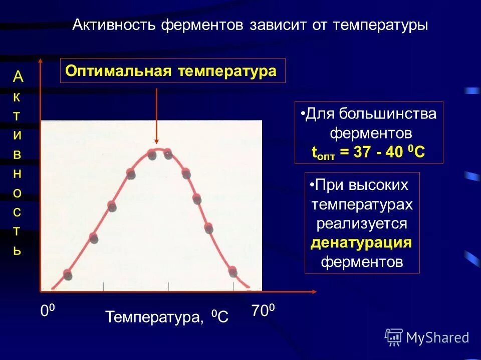 Влияние рн на активность ферментов. Оптимальная температура действия ферментов. Термолабильность. Ферменты разрушаются при температуре. Оптимальный интервал температур ферментов.