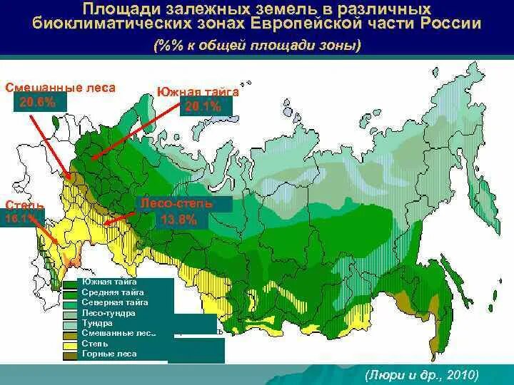 Природная зона расположенная южнее тайги. Зона смешанных и широколиственных лесов на карте России. Зоны тайги и смешанных и широколиственных лесов в России. Климатические зоны РФ. Биоклиматические зоны.