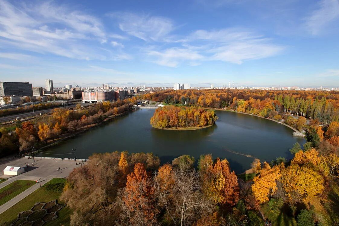 Владимировские пруды москва. Владимирский пруд шоссе энтузиастов. Владимирский пруд перово. Шоссе энтузиастов парк. Круглый пруд измайловский парк.
