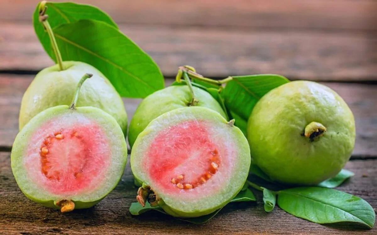 Passion fruit orange guava перевод. Мексиканская гуава. Тропическая гуава. Гуава фрукт дерево. Гуава в Тайланде.