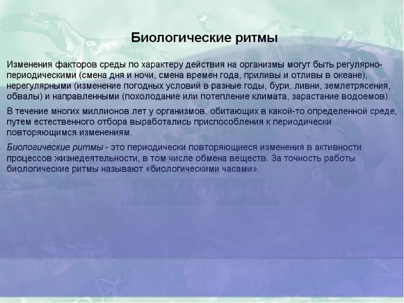 Изменение организмами в процессе жизнедеятельности. Биологические ритмы фотопериодизм. Фотопериодические ритмы организмов. Биоритмы вывод. Выводы биоритмы жизни.