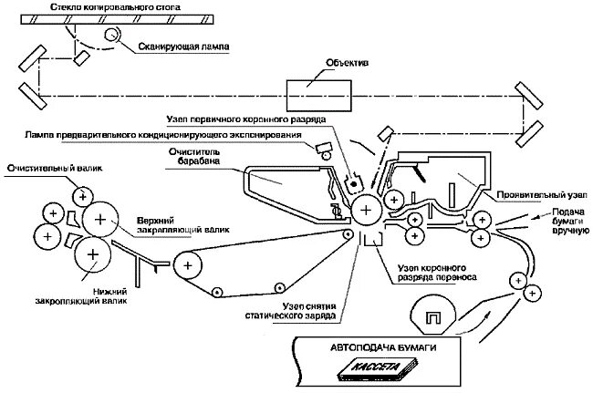 Принцип работы копировального аппарата