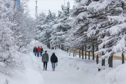 Температура в магадане
