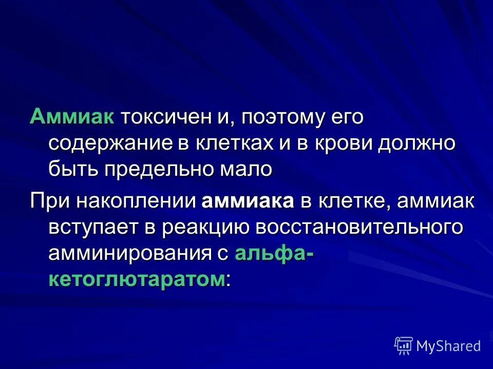 аммиак токсичен