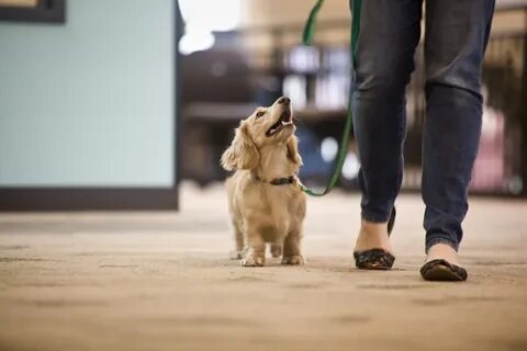 Win walk