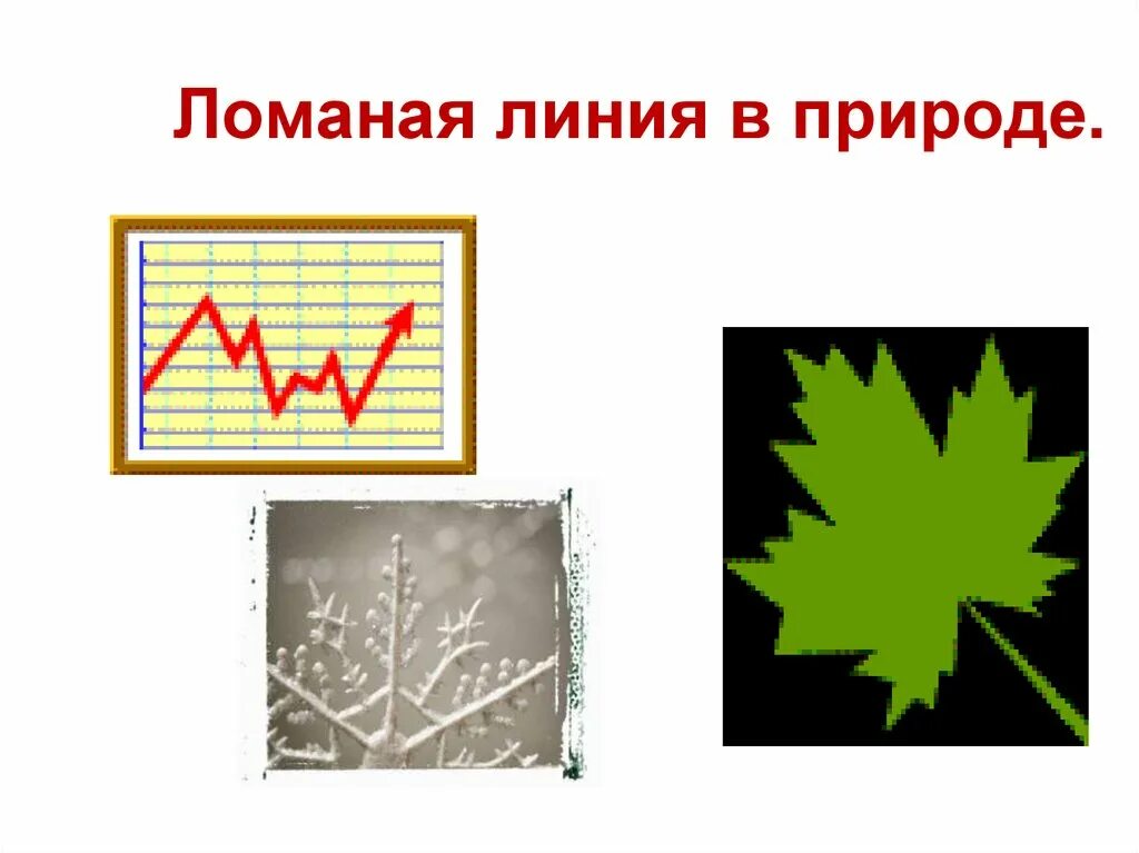 Ломаные линии судьбы читать. Ломаная линия в природе. обозначение ломаной линии. ломанные линии в природе.