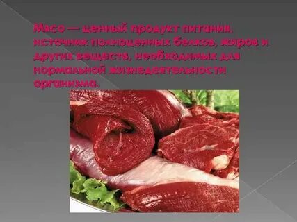 Проект на тему мясо