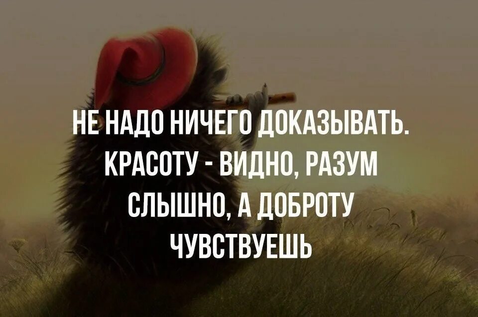 Статусы про жизнь. Статусы со смыслом. Красивые фразы. Красивые цитаты.