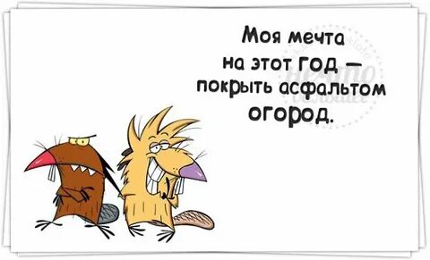 И ни друг и ни враг
