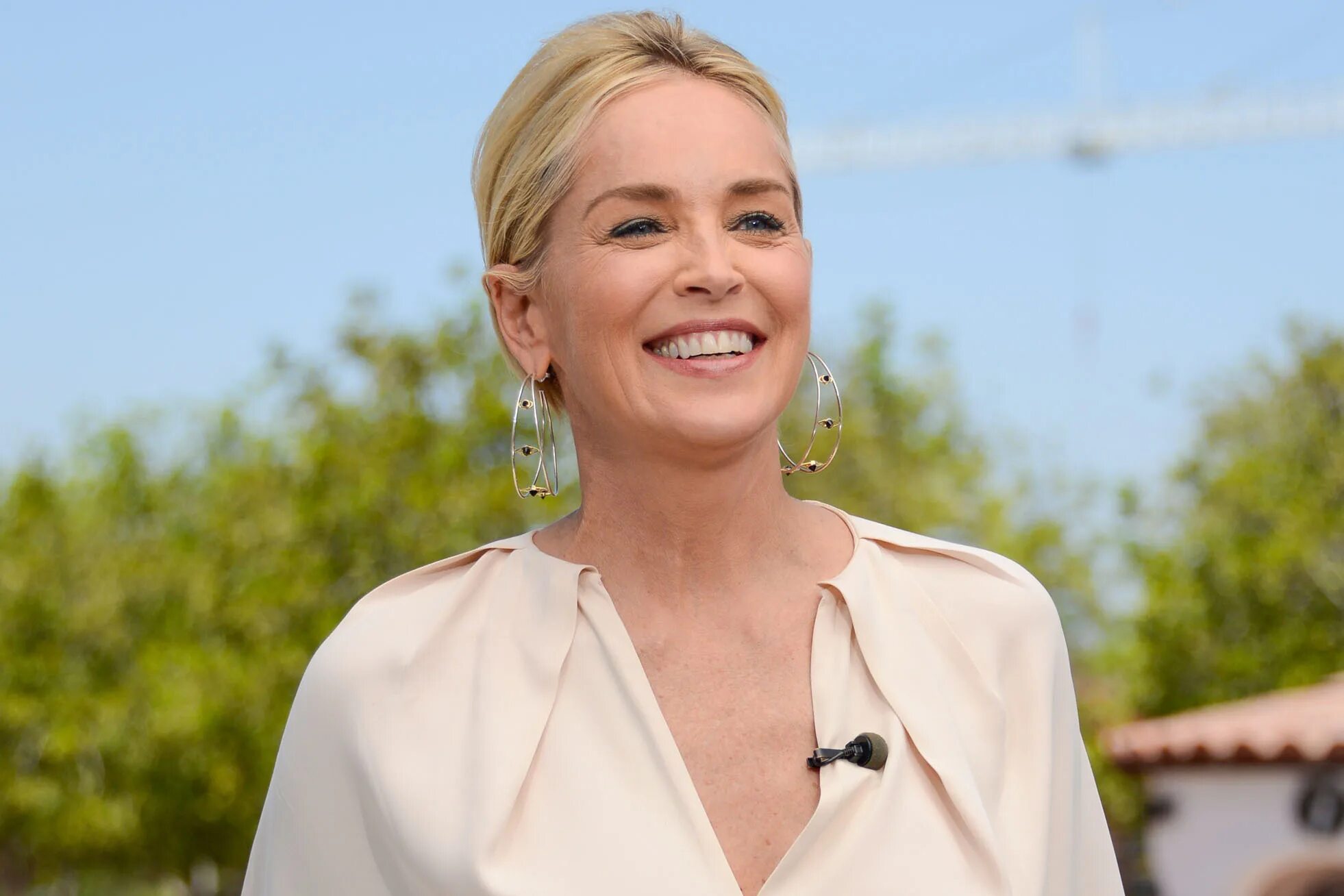 Стоун минут. Шэрон Стоун. Шэрон Стоун (Sharon Stone). Шэрон Стоун фото. Шэрон Стоун сейчас.