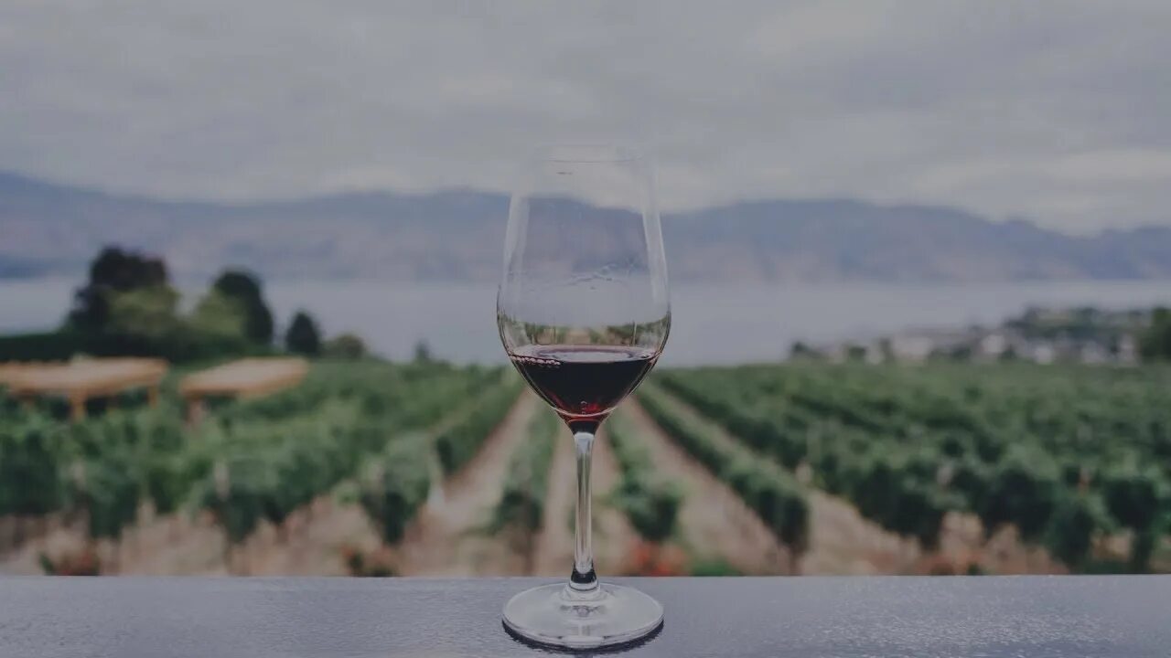 Фразы про вино. Афоризмы про вино. Высказывания про вино. Красивые высказывания о вине.