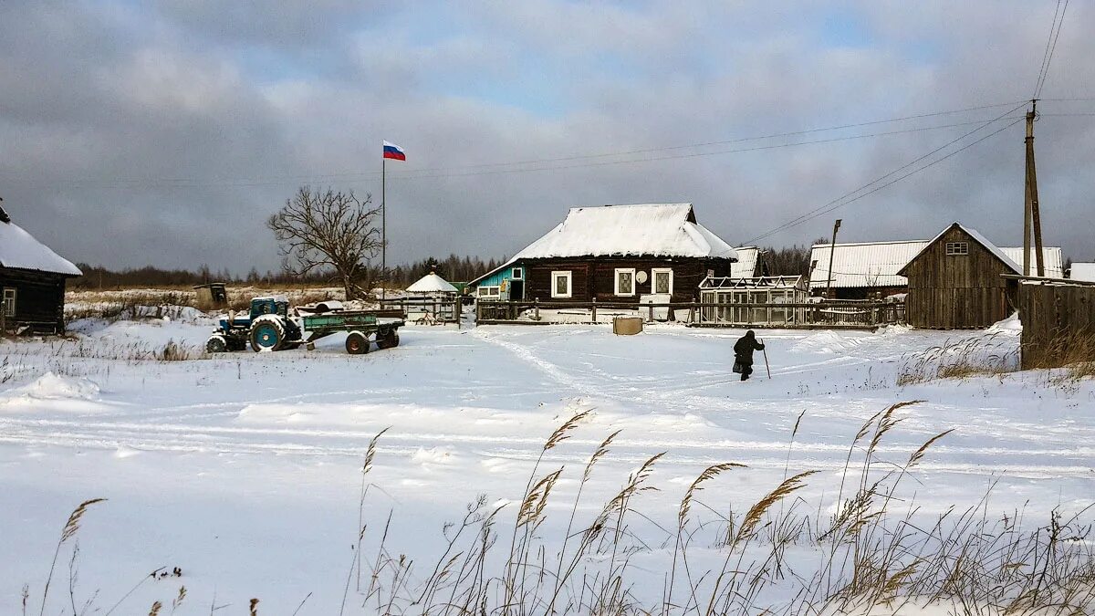 Фотосессия в деревне летом. Приехать в деревню какой. Деревенская бабушка. Деревенские приехали в город. Великий устюг деревня будрино.