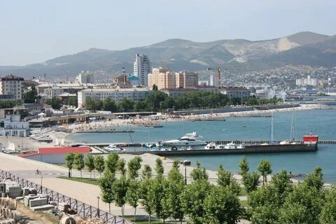 Численность в новороссийске