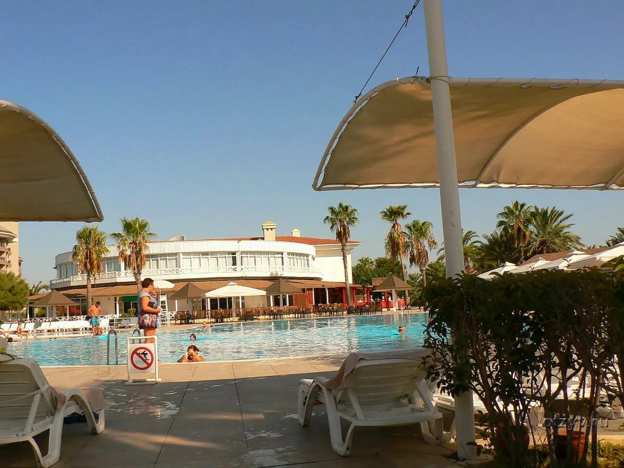 Euphoria palm отзывы