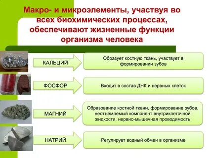 Роль микро и макроэлементов в организме