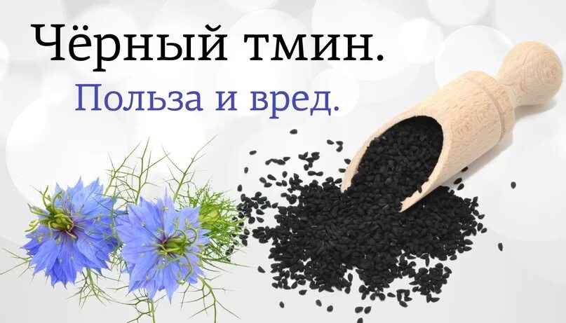 Тмин польза и вред. Черный тмин польза. Черный тмин полезные. Семена чёрного тмина польза и вред. Чёрный тмин лечебные.