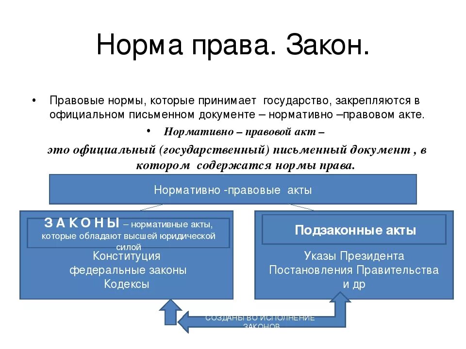 Правовая норма виды правовых норм. Нормы законов примеры. Ооо право норм