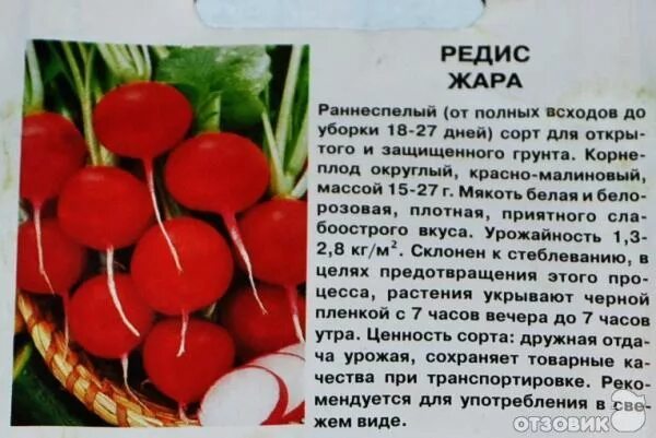 Редис какая температура. Редис удобрение. Редис какая температура. Редис видовое название. Редиска семена лучшие сорта для открытого грунта.