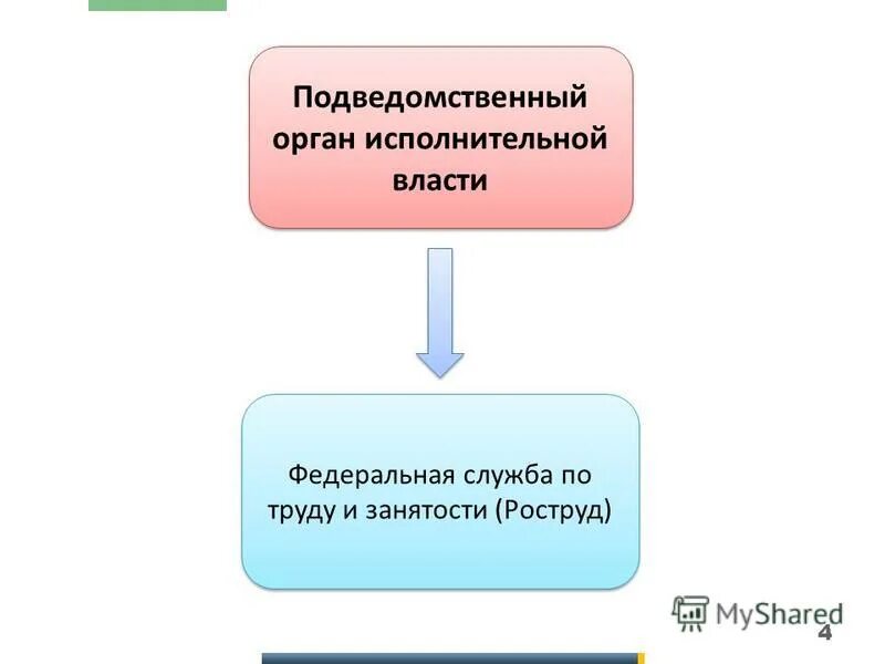 Подведомственные организации исполнительной власти. Подведомственные организации исполнительной власти. Федеральные органы исполнительной власти. Понятие органов исполнительной власти. Подведомственные организации это.