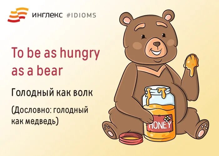 Как переводится hungry. Голодный как медведь. To be as hungry as a Bear. Голодный покушал медведь. Реклама с медведем.