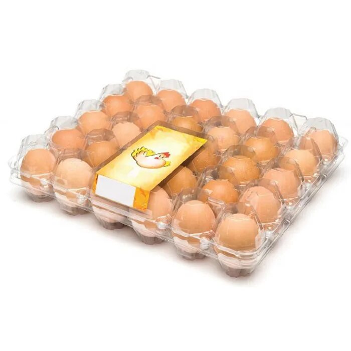 Упаковка для яиц купить. Упаковка для яиц. Пластиковая упаковка для яиц. Яйца куриные в упаковке. Упаковка для яиц прозрачная.