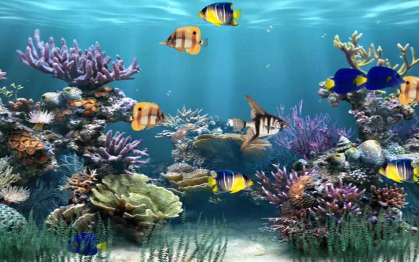 Живые обои текно. Подводный пейзаж. Живые рыбки. Обои аквариум. Живой аквариум.