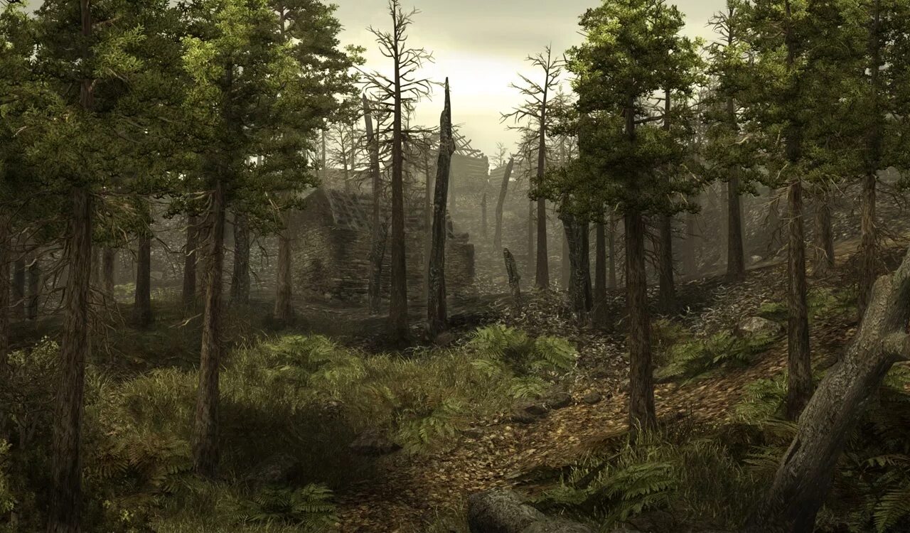 Cryengine v движок. лесная поляна в 3d. ведьмак 3 локации лес. ведьмак 3 лес. мариборский лес ведьмак 3.