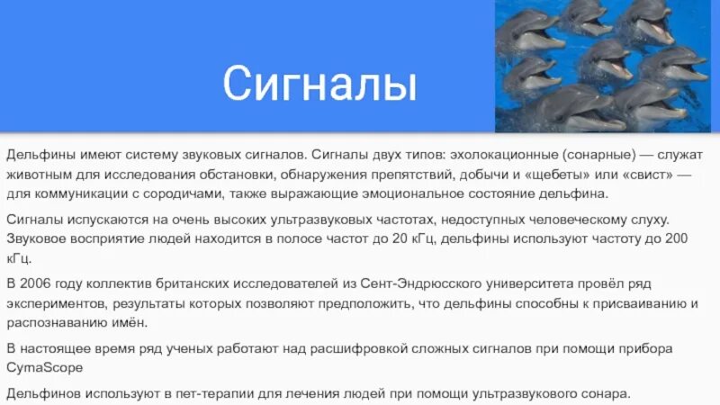 Что значат дельфины