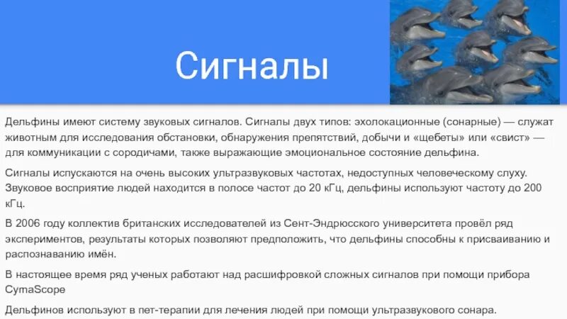 Входными воротами для эхолокационного слуха дельфина служит. Язык дельфинов. Звуковые сигналы дельфинов. Язык дельфинов расшифрован. Система общения дельфинов.