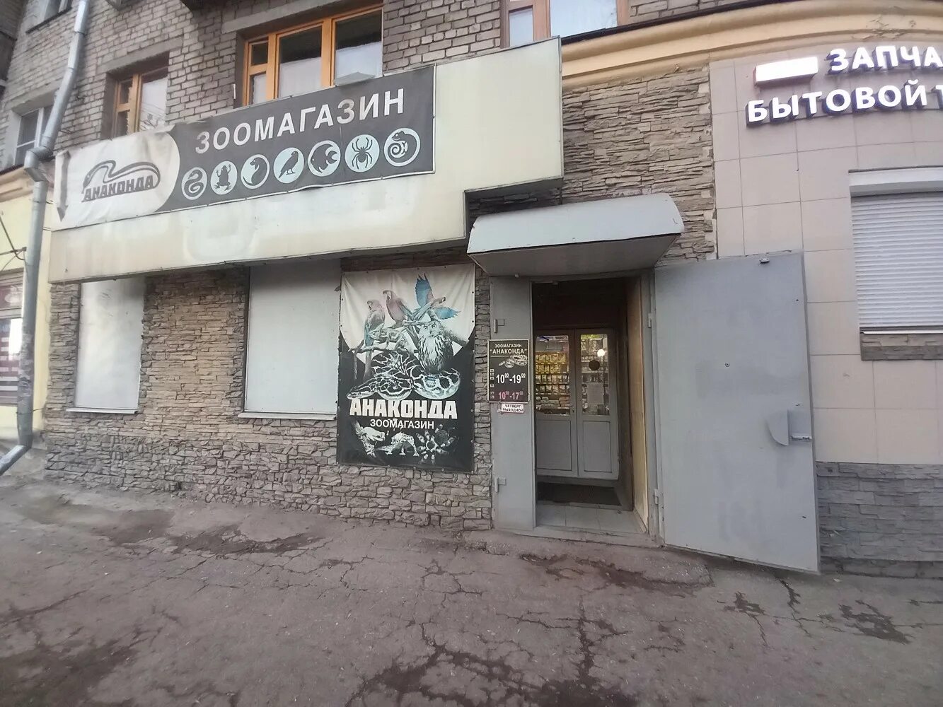 Анаконда зоомагазин в нижнем новгороде. Зоомагазин в нижнем новгороде. Анаконда зоомагазин в нижнем новгороде. Анаконда зоомагазин в нижнем новгороде. Анаконда зоомагазин в нижнем новгороде.