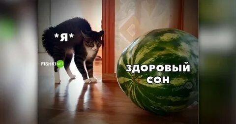 Всякое 10