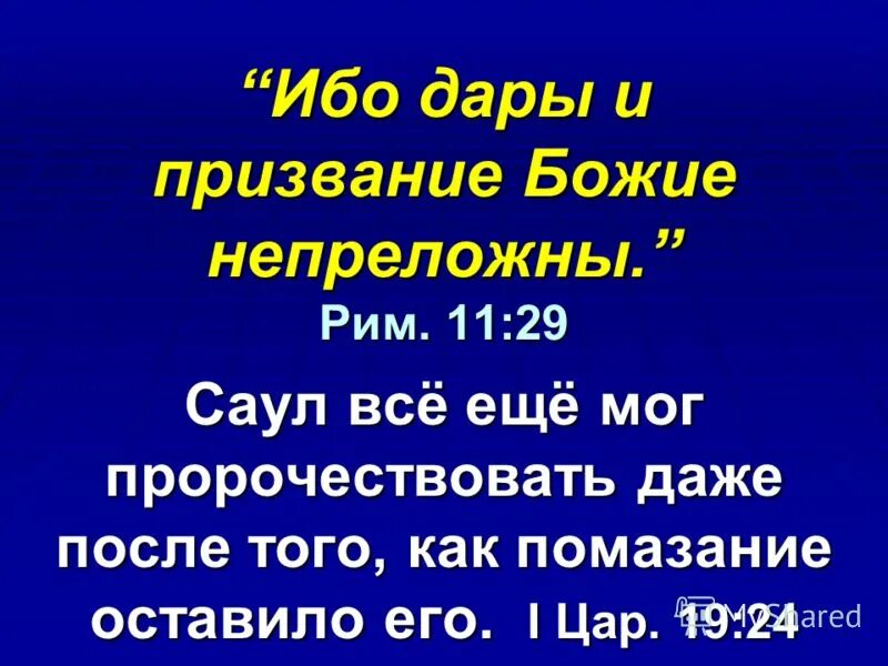 Участник ибо