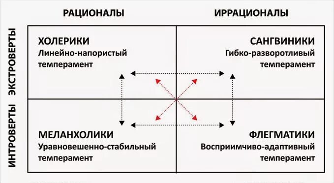 Рационал и иррационал. Гибко разворотливый темперамент соционика. Соционика и типы темперамента. Социотип и темперамент. Соционика сангвиник.