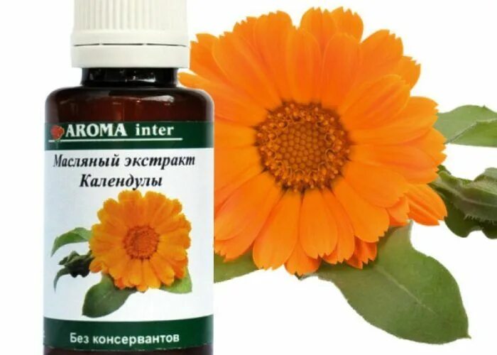 Календула для полоскания горла. Масляный экстракт календулы. календула для горла. ромашка шалфей календула для полоскания. масло календулы для горла.