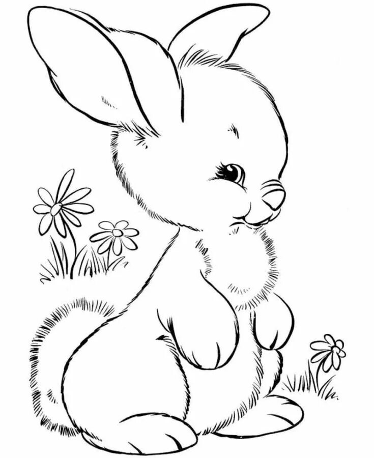Раскраски зайцы для детей распечатать бесплатно Animales faciles de dibujar, Dibujos fáciles, Animales para pintar