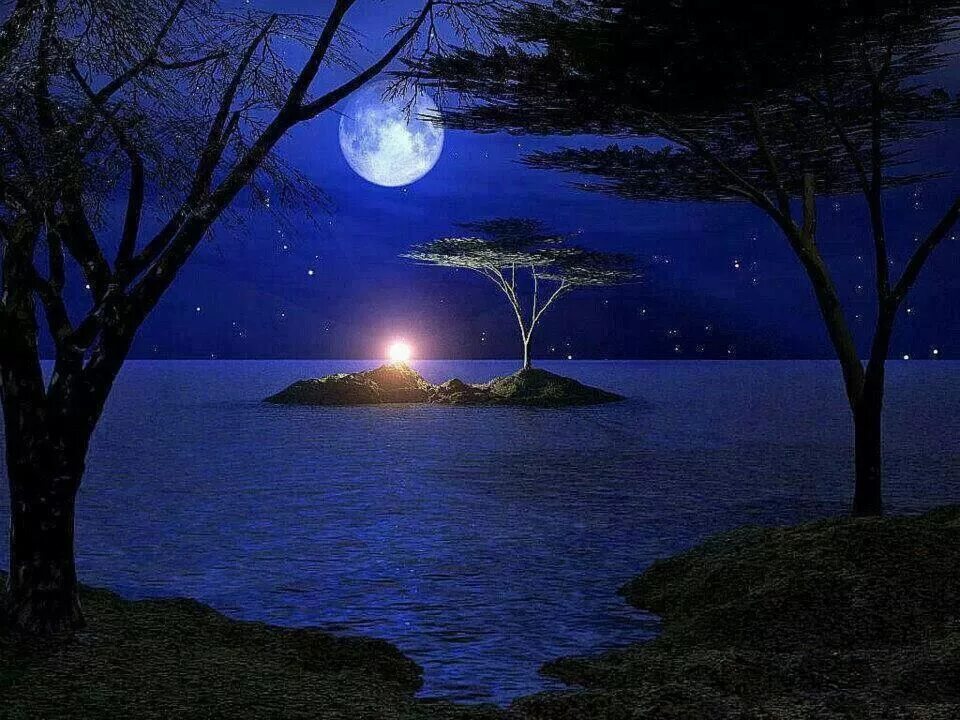 Красивая ночь. Ночное море. Лунная ночь. Красивые лунные пейзажи. Свет спокойной