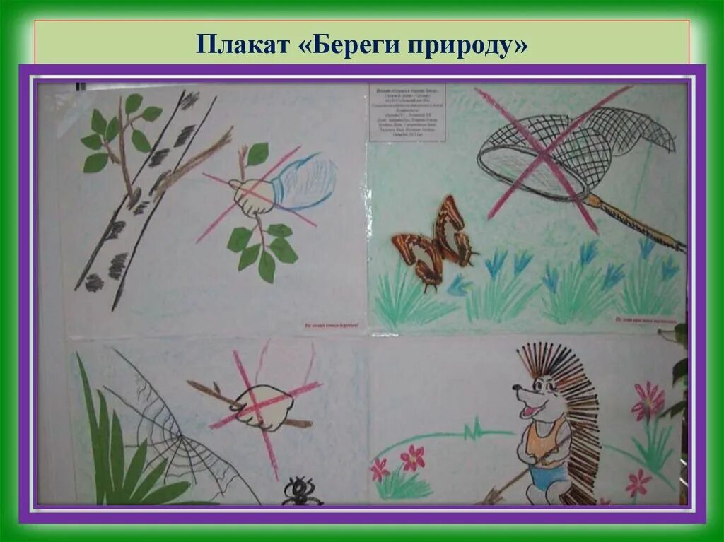 Придумай и нарисуй плакат берегите растения. Придумай и нарисуй плакат берегите растения