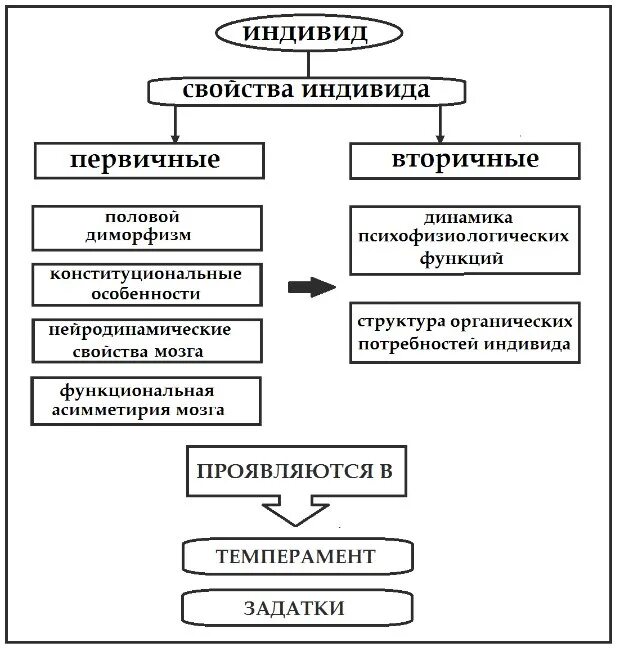 Структура понятия «индивид» (по б. г. Ананьеву). Ананьев индивид личность индивидуальность. Индивид личность индивидуальность субъект деятельности по Ананьеву. Системная модель личности б.г Ананьева. Б г ананьев личность