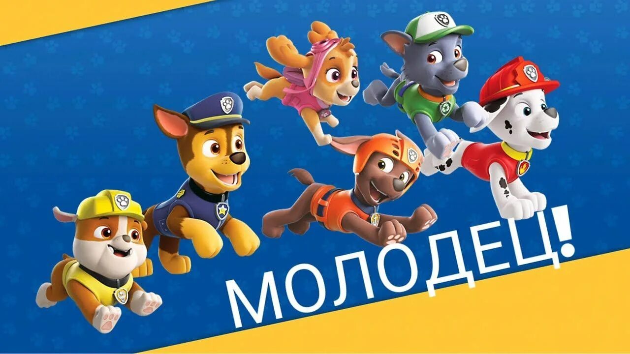 Щенячий патруль мегафильм дата выхода. Щенячий патруль мегафильм дата выхода
