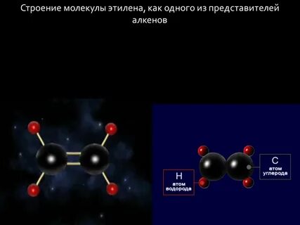 Молекула алкена состоит из 9 атомов
