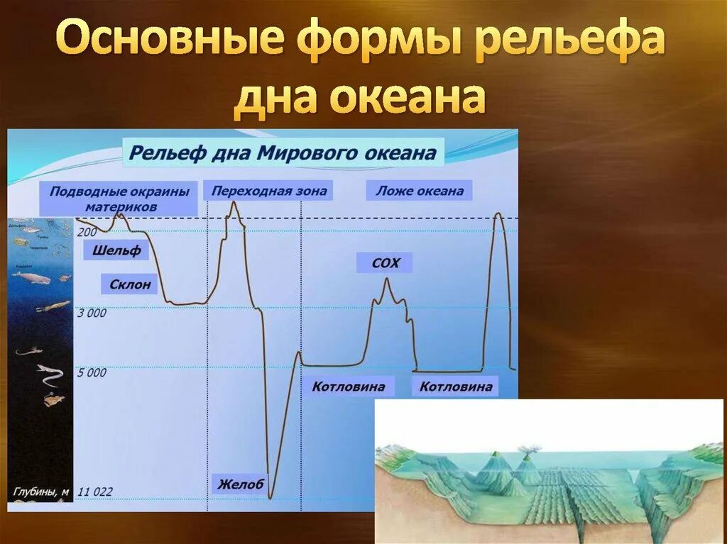 Формы рельефа дна мирового океана 6 класс. Основные формы рельефа океанского дна. Процессы образующие рельеф дна мирового океана. Основные формы рельефа суши и дна океана. Рельеф на дне мирового океана