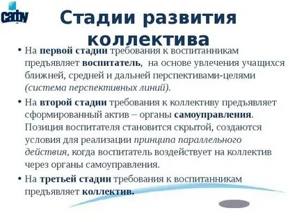 Цель перспектива