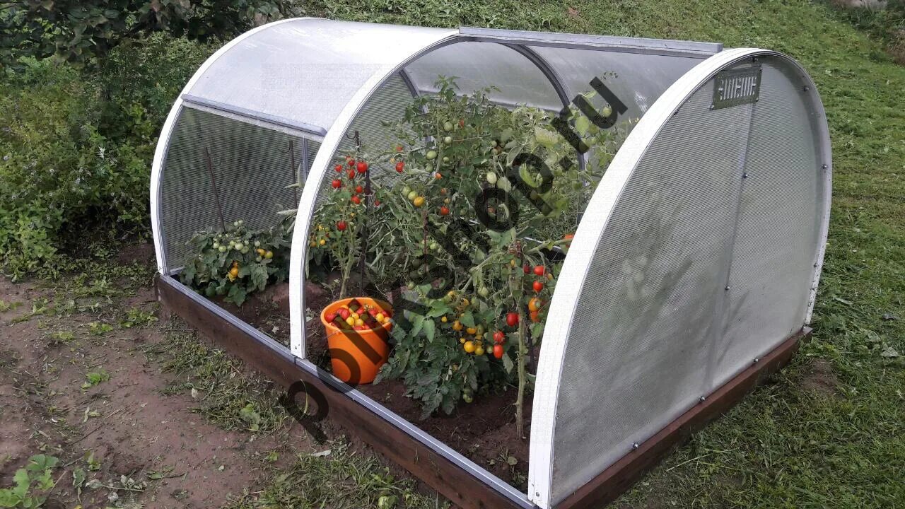 Мини парники купить в москве. Парник Greenhouse т312 3 м. Парник т215 из поликарбоната Green House. Парник Greenhouse т-21. Парник тюльпан мини 3м Экострой.