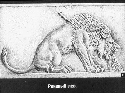 Раненый лев опаснее