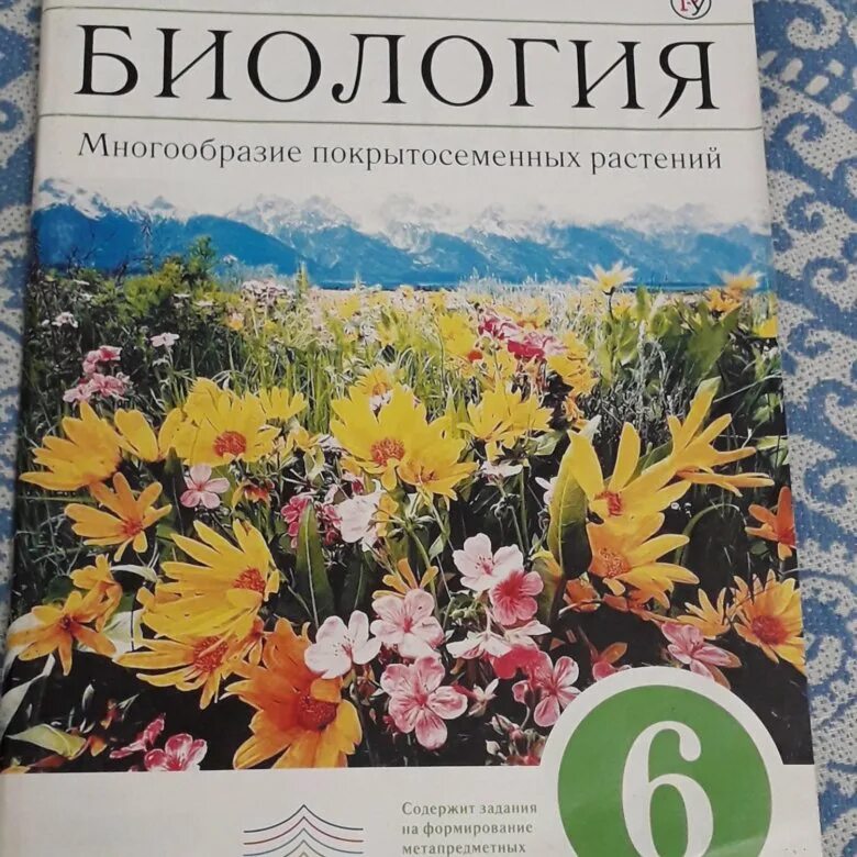 Тетрадь по биологии 6 класс Пасечник. Биология 6 класс рабочая тетрадь Пасечник. Рабочая тетрадь по биологии 6 класс Пасечник. Рабочая тетрадь 6 класс Пасечник биология 1999. Биология 6 класс учебник пасечник 2023 читать