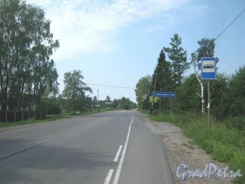 Погода мины гатчинский