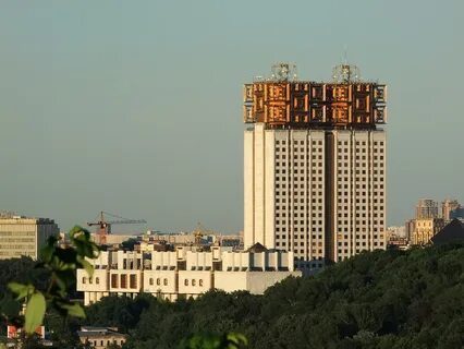 Мозги москва