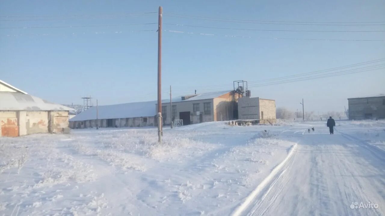 Погода рп5 родино алтайский край родинский. Село Раздольное Алтайский край Родинский район. С Родино Родинский район Алтайский край. Село Грязново Алтайский край. Шаталовка Алтайский край Родинский район.