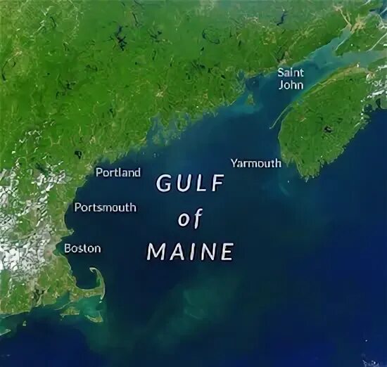 Залив фанди на карте северной. Залив Мэн. Залив Мэн на карте. Северная Америка залив Мэн. Gulf of Maine.