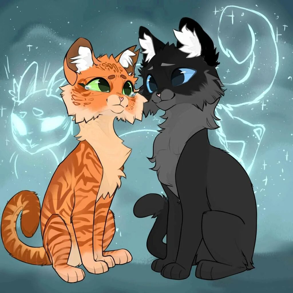 коты воители голубка. коты воители парные. два кота арт коты воители. коты воители остролап и синяя звезда. Graypillow коты воители остролистая.